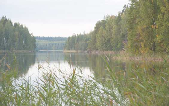 Финляндия. Озеро Пяйянне
